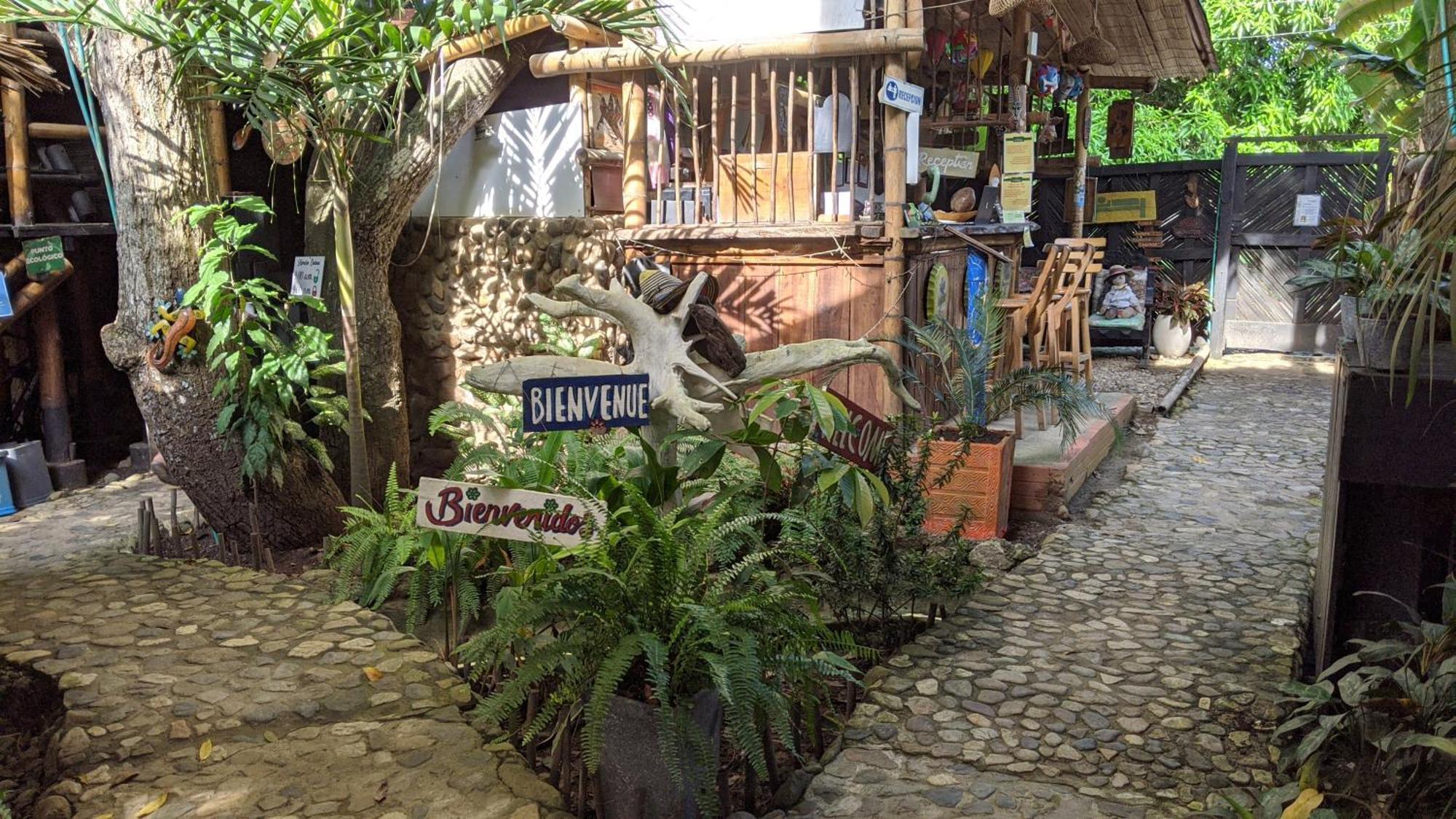 La Natura Hostel&Pool Palomino Exterior foto